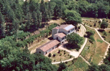 Museo del Fiore