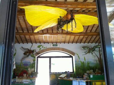 Museo del Fiore