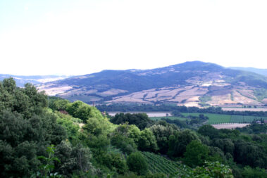 Riserva Naturale Monte Rufeno (Uffici)