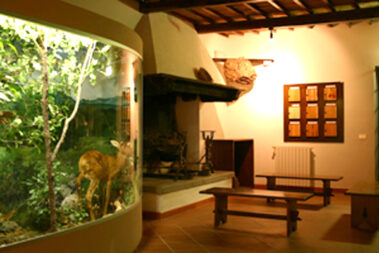 Museo del Fiore
