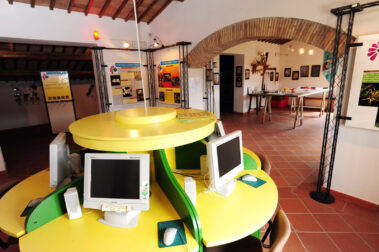 Museo del Fiore