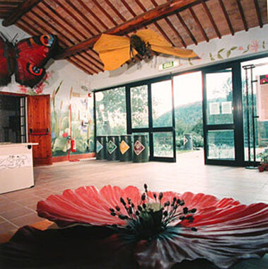 Museo del Fiore