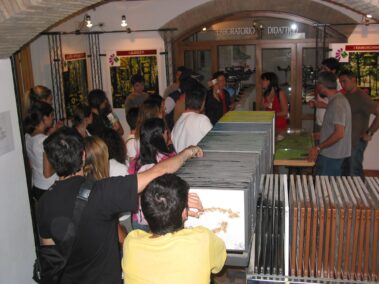 Museo del Fiore