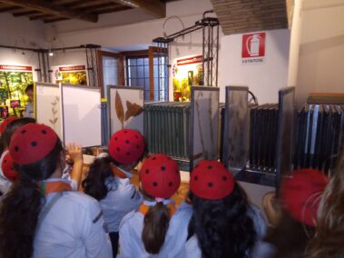 Museo del Fiore